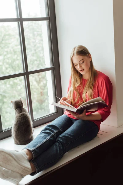 Enfoque selectivo de hermosa chica sentada en el alféizar de la ventana y libro de lectura cerca lindo gato - foto de stock