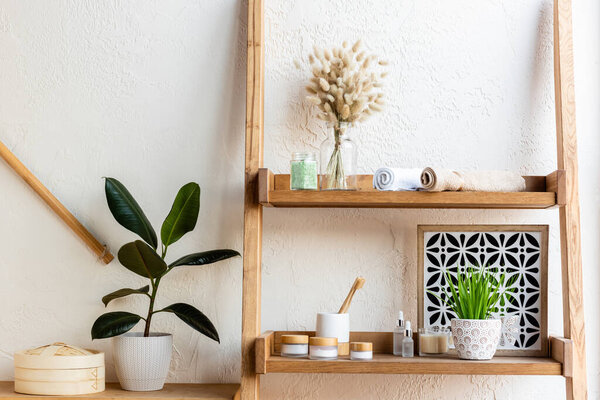 wooden shelves with blooming catkins, towel rolls, toothbrushes, containers and bottles near green plants in flowerpots 