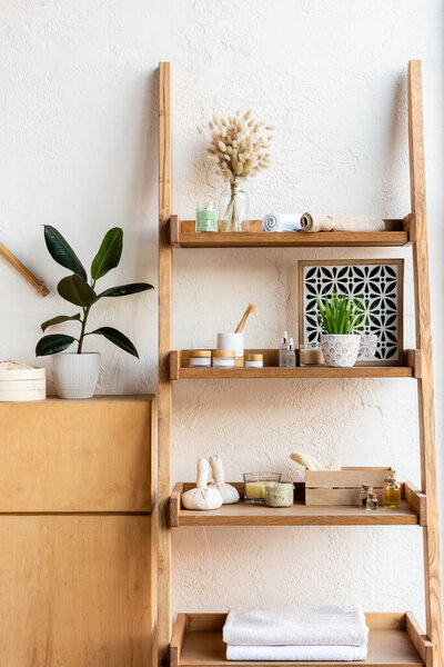 стойка с кеткинами в вазе, рулоны полотенец, зубные щетки, травяные мешки, контейнеры и бутылки рядом с зелеными растениями в цветочных горшках
 