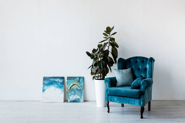 comfortable armchair near plant and paintings in living room 