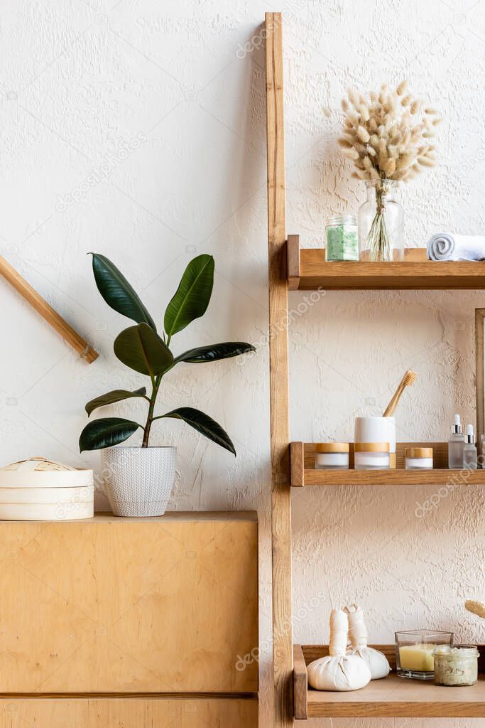 wooden rack with blooming catkins, towel rolls, toothbrushes, herbal bags, containers and bottles near green plants in flowerpots 