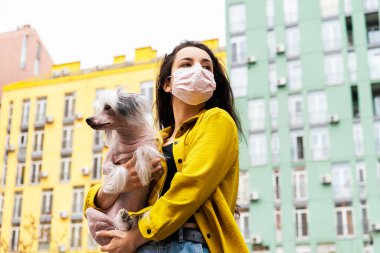 attractive girl in pink medical mask walking with dog in city clipart