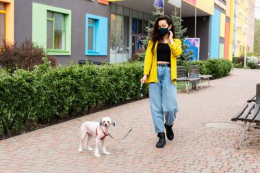 Siyah tıbbi maskeli çekici bir kadın Çin armalı bir köpekle şehirde yürüyor.