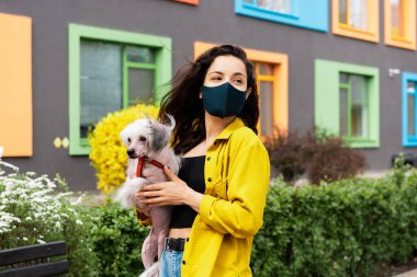 beautiful girl in black medical mask walking with chinese crested dog in city clipart