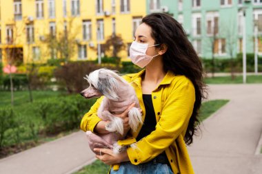 Pembe tıbbi maskeli çekici bir kız Çin armalı bir köpekle şehirde yürüyor.