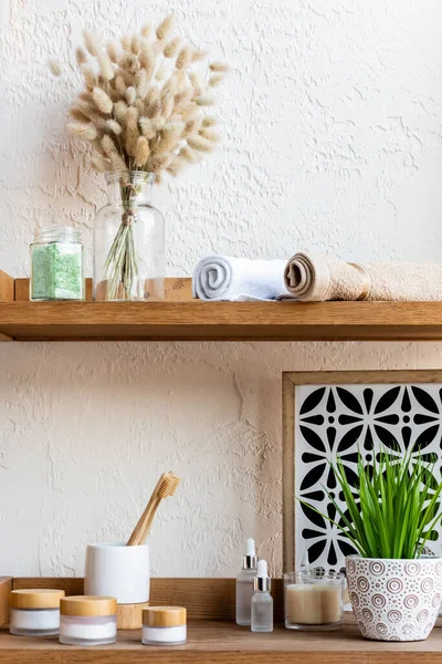 Flooming catkins, rolos de toalha, escovas de dentes, recipientes e garrafas perto de planta verde em prateleiras de madeira — Fotografia de Stock