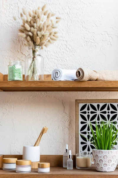 Blooming catkins, towel rolls, toothbrushes, containers and bottles near green plant on wooden shelves — Stock Photo