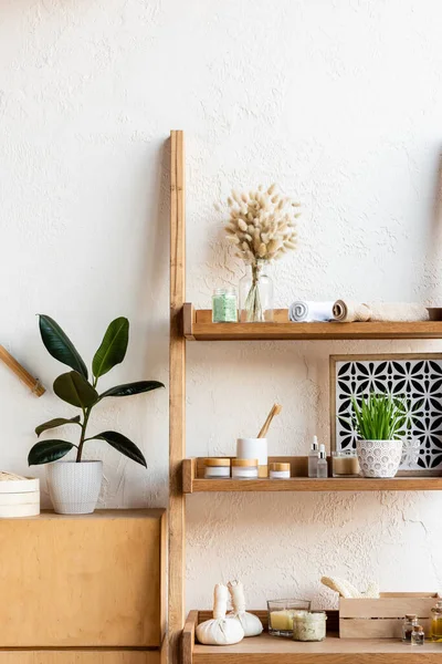 Rack with blooming catkins, towel rolls, toothbrushes, herbal bags, containers and bottles near green plants in flowerpots — Stock Photo