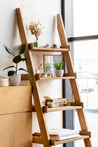 Rack with catkins in vase, towel rolls, toothbrushes, herbal bags, containers and bottles near green plants in flowerpots and windows — Stock Photo