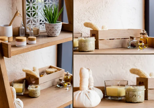 Collage de bolsas de hierbas, esponja, cepillo de dientes, velas, recipientes y botellas cerca de la planta verde en maceta - foto de stock