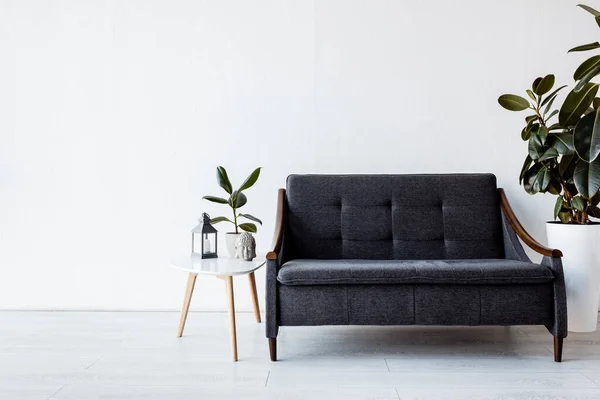 Modernes Sofa neben Couchtisch mit Pflanzen, Vintage-Lampe und Kopffigur im Wohnzimmer — Stockfoto