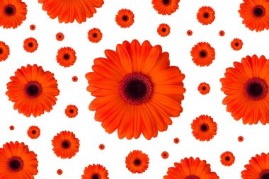 Kırmızı çiçekler arka plan