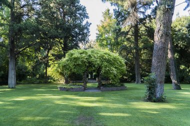 Bahçe içinde güzel çardak