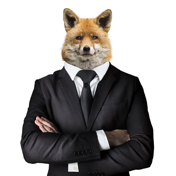 Fox Headed Człowiek Izolowane Białym Tle — Zdjęcie stockowe