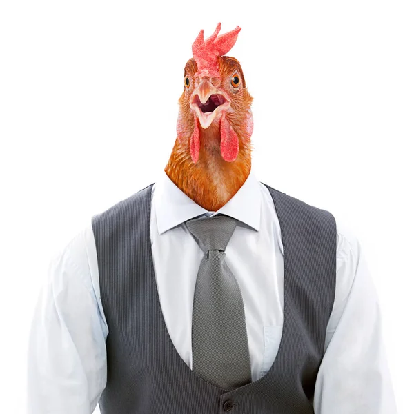 Cock Headed Man Isolated White Background — Stock Photo, Image