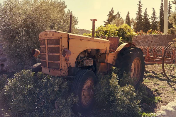 Old vintage tractor in a farm