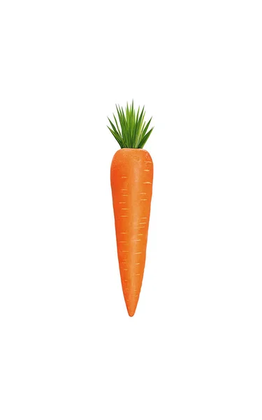 Кактус Оранжевая Морковка — стоковое фото