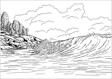 Deniz sanat el çizilmiş vektör 