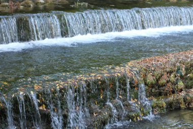 küçük şelale Plitvice Milli Parkı'nda.