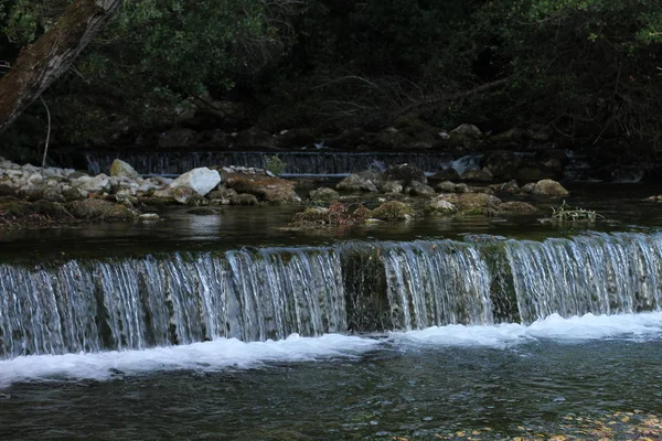 küçük şelale Plitvice Milli Parkı'nda.
