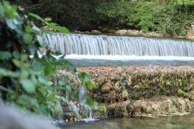 küçük şelale Plitvice Milli Parkı'nda.