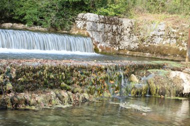 küçük şelale Plitvice Milli Parkı'nda.