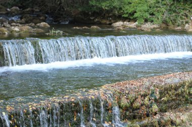 küçük şelale Plitvice Milli Parkı'nda.