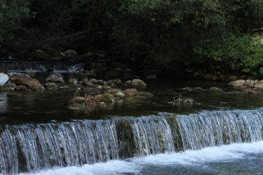 küçük şelale Plitvice Milli Parkı'nda.