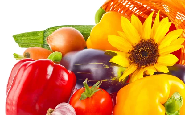 Composition des légumes épices et fleurs — Photo