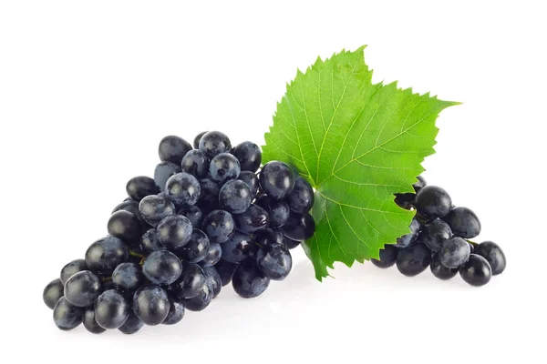 Bunch of blue organic grapes with green leaf. — Stock Photo, Image