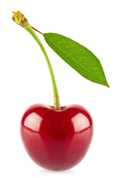 Fresh juicy cherry with green leaf — Stock Photo, Image