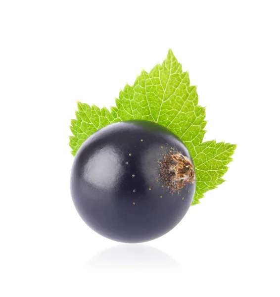 Fresh juicy black currant with green leaf — Stock Photo, Image