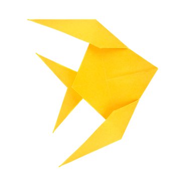 Altın angelfish pterophyllum scalare balık origami.