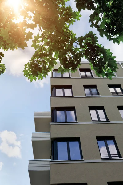 The facade of a new building with a tree — Stock Photo, Image