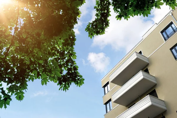 The facade of a new building with a tree — Stock Photo, Image