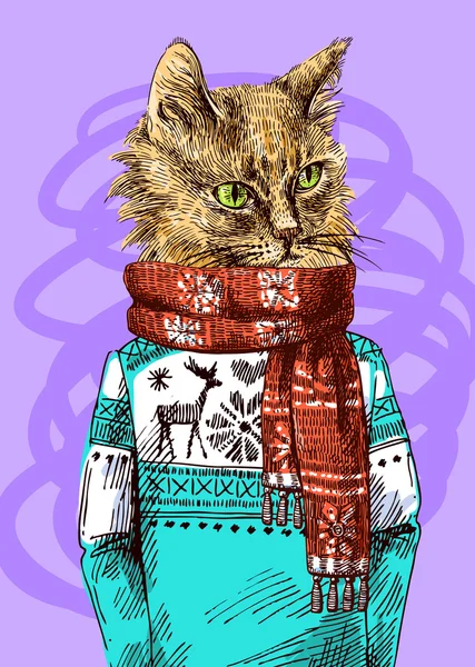 Kat in gebreide trui. — Stockvector