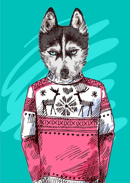 Husky en pull tricoté — Image vectorielle