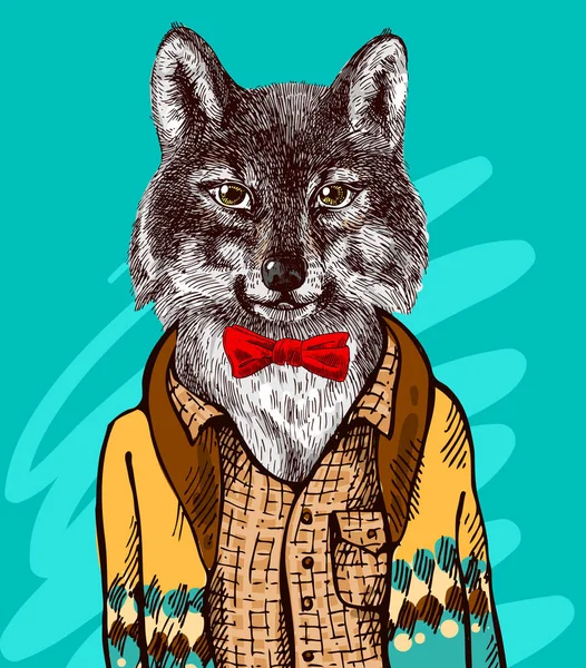 Λύκος στο πλεκτό πουλόβερ. — Διανυσματικό Αρχείο