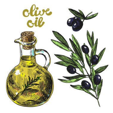 Zeytinyağı ve zeytin