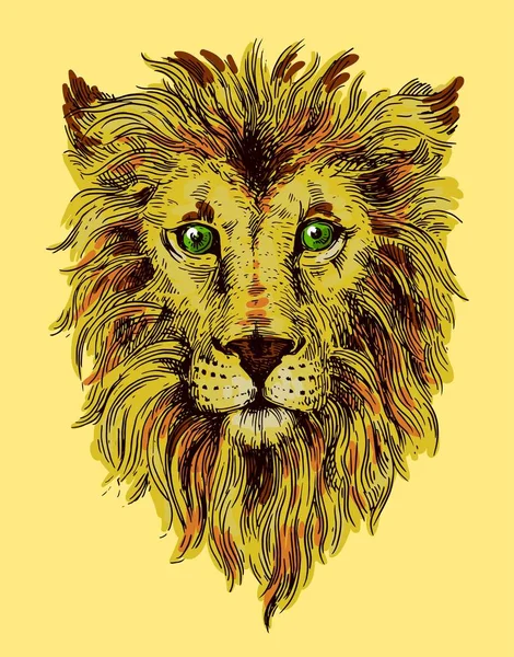 Kroki çizim aslan — Stok Vektör