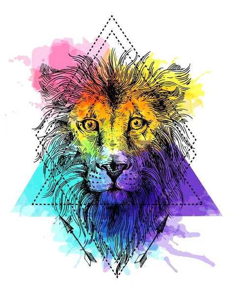 Sketch illustration lion — Stock Vector