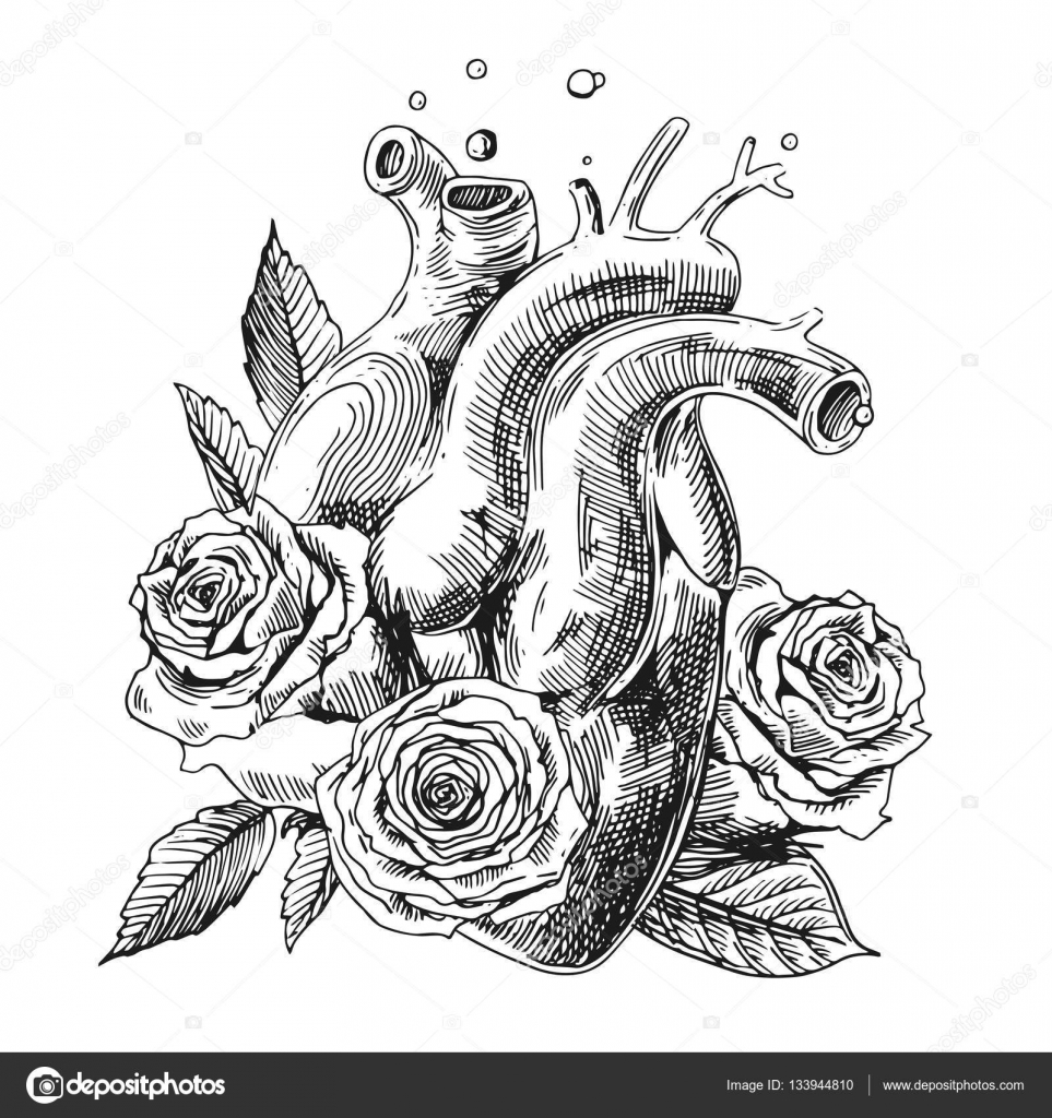 Illustrazione con l abbozzo del cuore umano Priorit  bassa di vettore disegnato a mano Disegno di stile Boho Noi per stampare per t shirt telefono astuto