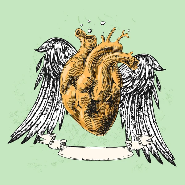 Ескіз людського серця — стоковий вектор