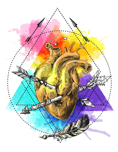 Sketch of human heart — Stock Vector