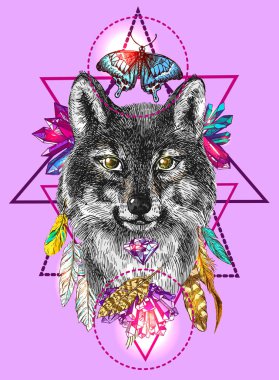 Kurt ile illüstrasyon