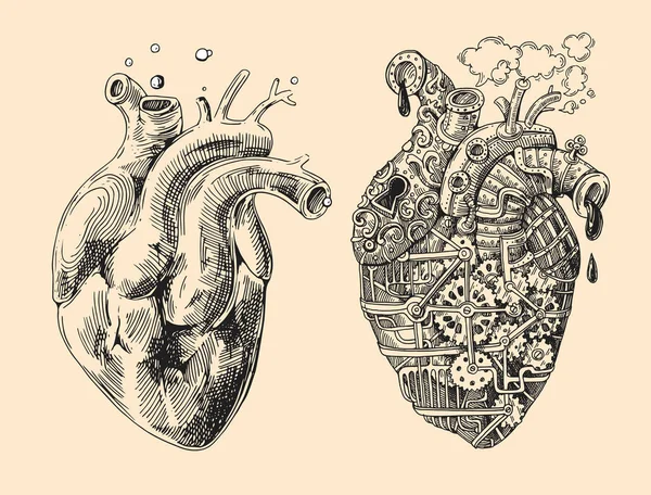 Herzen mechanisch und lebendig — Stockvektor