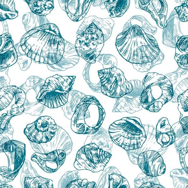 illustration  with sea shells