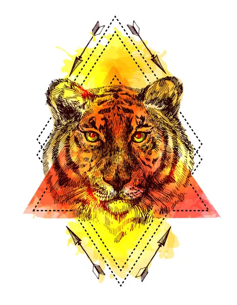Volto di tigre illustrazione — Vettoriale Stock