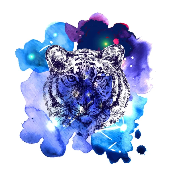 Ansikte av tiger illustration — Stock vektor