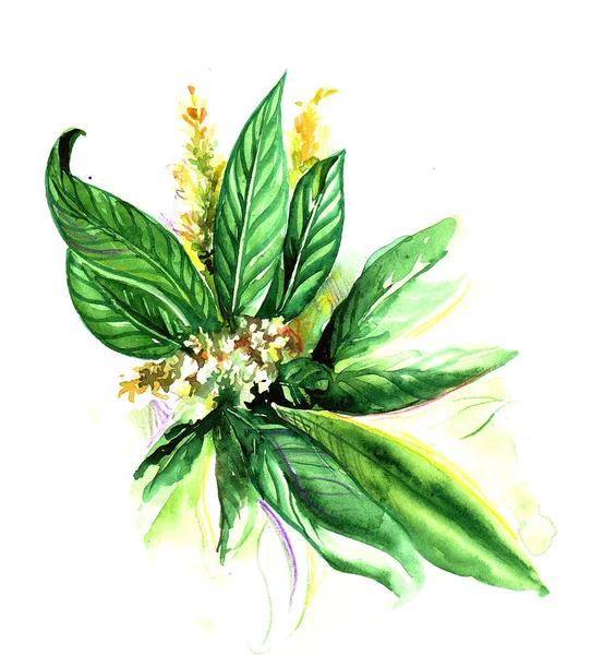 Beautiful watercolor flower — Stock Photo, Image